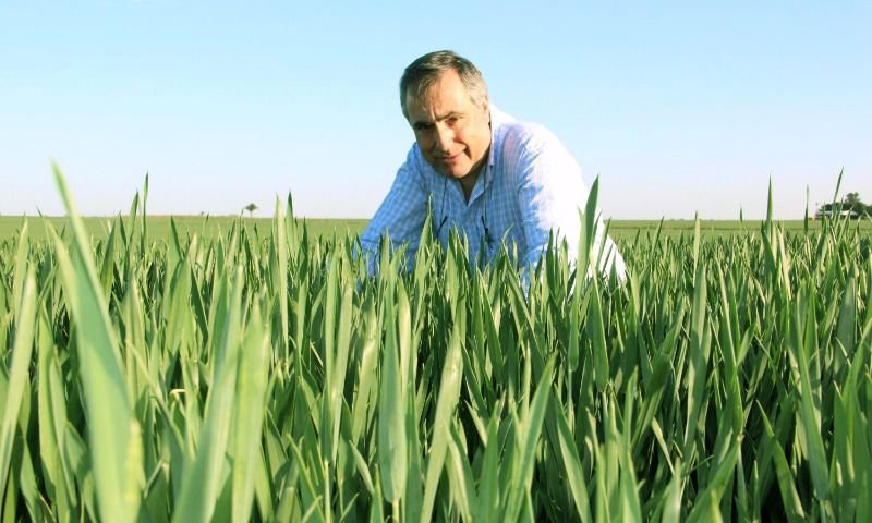 Ricardo Yapur: "Los productos biológicos vinieron para quedarse"